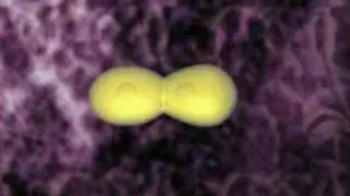 Gleevecs mechanism of Action