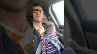 Едем на юг
