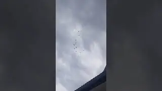 30.08.2024г Голуби Вячеслава ч. 1
