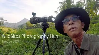 Motret Burung di Lereng Gunung Penanggungan  ~ 1 Januari 2024