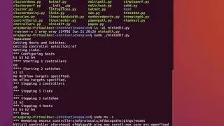 Mininet Miniedit example