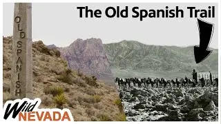 Following in some historic footprints | Old Spanish Trail - Las Vegas | Wild Nevada