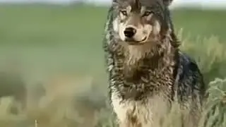 Самый лучший слова(5)
