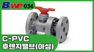 CPVC 후렌지 밸브, CPVC Flange Ball Valves. 아성플라스틱밸브(주). BWP