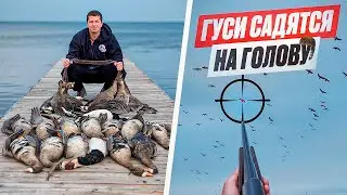Лучшая ОХОТА на ГУСЯ 2024! ОХОТА в Калининграде! ВЕСНА 2024