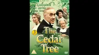 THE CEDAR TREE