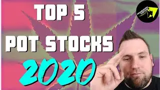 BEST POT STOCKS TO OWN IN 2020 | INVESTING IN CANNABIS