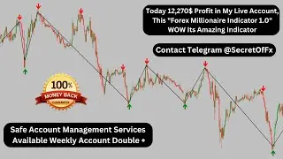 Today 12,270$ Profit My Live Account, This 