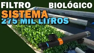 SISTEMA DE FILTRAGEM PARA 275 MIL LITROS canal saalada