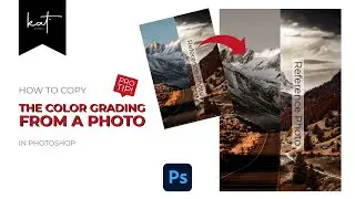 How to copy the Color Grading from any photo (and apply it to another)