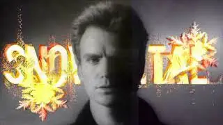 SnowMetal x Sting  