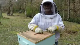 Expanding hives & making a NUC