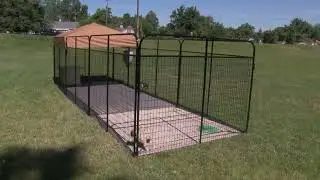 Single Welded Wire Standard Panel by K9 kennel store
