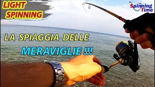 LIGHT SPINNING - LA SPIAGGIA DELLE MERAVIGLIE !!!