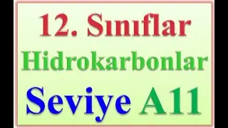 12 .SINIFLAR HİDROKARBONLAR SEVİYE A11