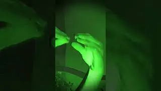 нет.