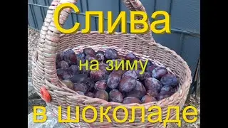 Chocolate Plums for Winter - A Simple Recipe! Chocolate Jam in 5 Minutes!