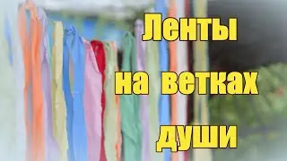 Ленты на ветках души. Видеостих