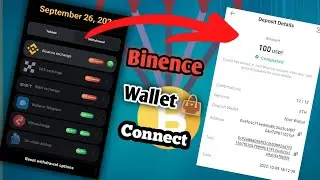 Hamster Kombat connect binence wallet | hamster kombat in binance add kaise kare