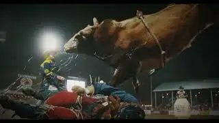 Xtreme Bulls 3 Weeks