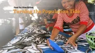 Philippines: Turning the population tide