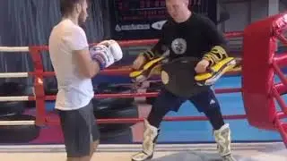 Гибкий путь боевых искусств, спортивная секция