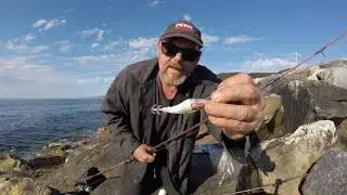 Squid fishing Wirrina Cove SA. Using a weightless floating squid jag