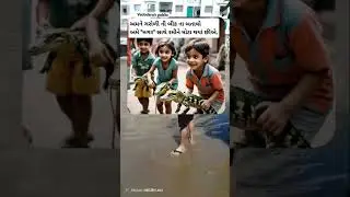 વડોદરા ની પબ્લિક ને મગર🐊 ની બીકજ નહિ લાગતી #vadodara #vishwamitririver #magar #crocodile #khof