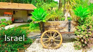 RELAXING MUSIC for The Soul and The BEAUTIFUL NATURE of Israel. Kibbutz Beeri