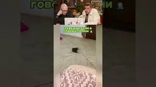 BEST JOKE #35 😹 😅