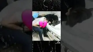 😉суруди ирони