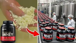 How Whey Protein Is Made In The Factory | From Waste Byproduct To Nutritional Goldmine.