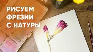 ПОЧЕМУ ВАЖНО РИСОВАТЬ С НАТУРЫ?🤔Урок акварельной живописи