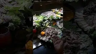 Праздничный ужин на Кубе 🇨🇺