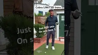The 