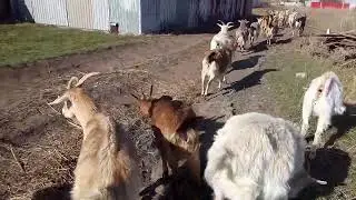 Так почему лучше 10 по три, чем 3 по 6