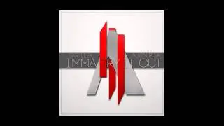 Skrillex feat Alvin Risk - Try It Out (Ciurla Bogdan Bootleg)