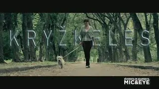 Trumpametražis filmas 