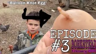 Mobile Chicken Coop Holds 150 Layers , Balloon knot egg, and we have a bummer lamb
