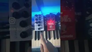Mis Efectos para Tocar En Vivo 🎸- R.G.R. 