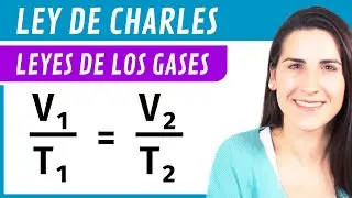 Charles's Law 🎈 Gas Laws
