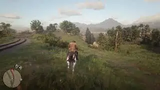 Red Dead Redemption 2 | Прохождение