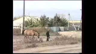 Худ өвгнә дун (Acapella)