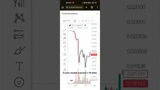 Crypto Currency Crashed in 15 min 