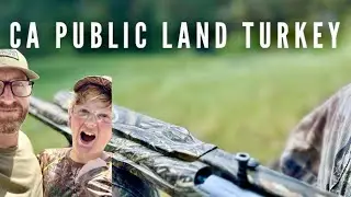 CA Public Land Turkey Hunt. Spring 2024