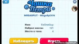 Чашка петри