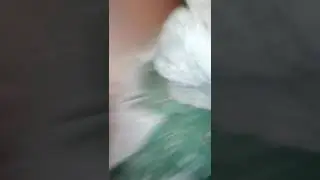 СОНЬКА ссадина Лёвушка ТВ вдвоем с девушкой с малышом и с Лёвушка ещё одним славянам