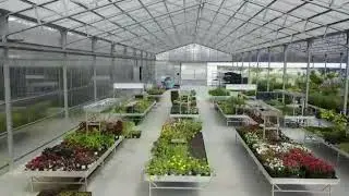 מתחם משתלות ירוק ישראלי גארדן סנטר לגן ולגינה