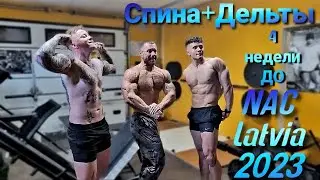 Спина + дельты.