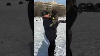 На ручки)) Малинуа и немецкая овчарка. 